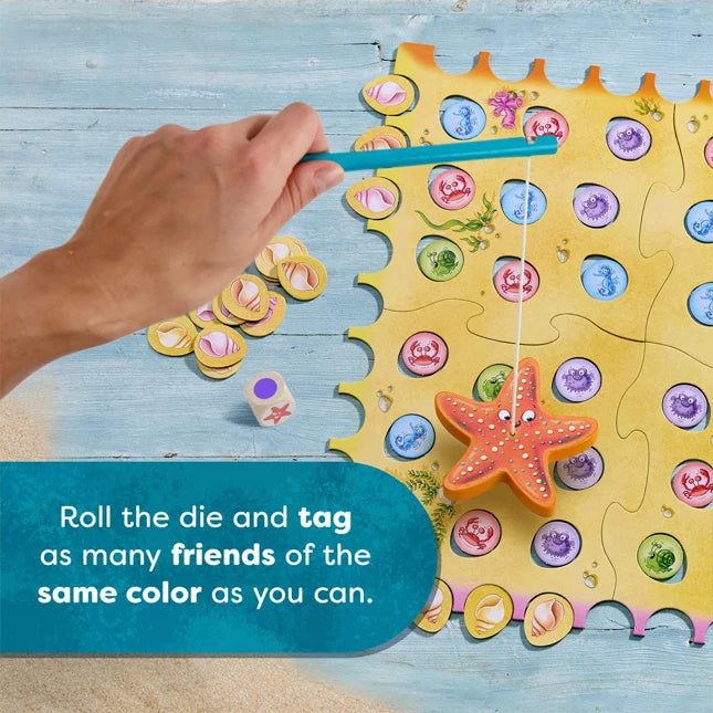Sebastian Sea Star Game - Best Early Learning Toys for Ages 3 to 6 - US 3385