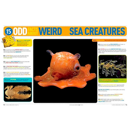 5,000 Awesome Facts About Everything - - Fat Brain Toys - US 3683