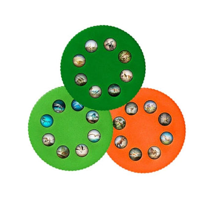Wonder Lights - Dinosaurs - Best RC &amp; Electronics for Ages 3 to 7 - US 1718