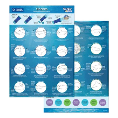 Wonder Lights - Sharks - Best RC &amp; Electronics for Ages 3 to 8 - US 5762