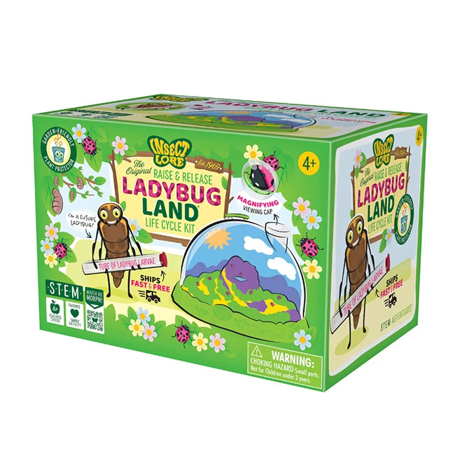 Ladybug Land with Prepaid Voucher - - Fat Brain Toys - US 7370