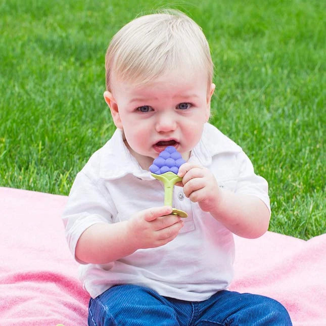 EZ Grip Massaging Teether Fruit - Best for Ages 1 to 2 - US 9443